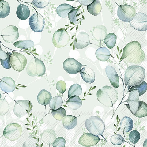 Eucalyptus