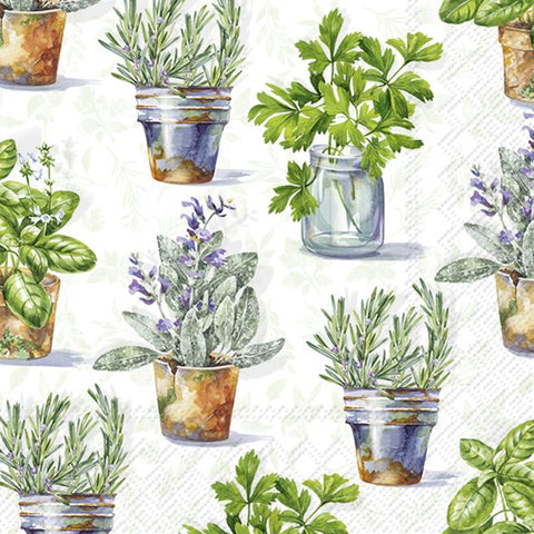 Aromatic herbs light green