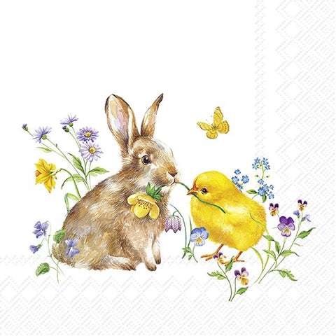 Bunny and chick