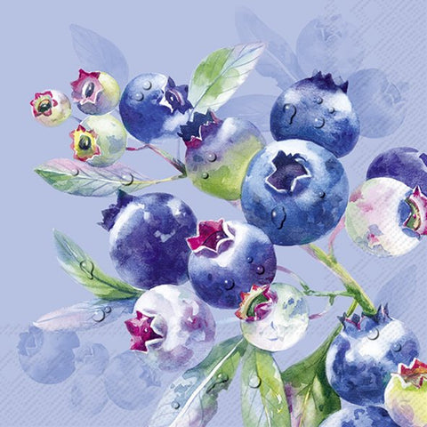 Blueberry Fruits blue