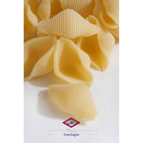 Conchiglie