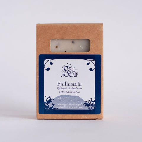 Fjallasæla